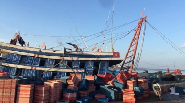 Quảng Bình: Năm ngư dân thương vong vì ngạt khí độc dưới hầm cá