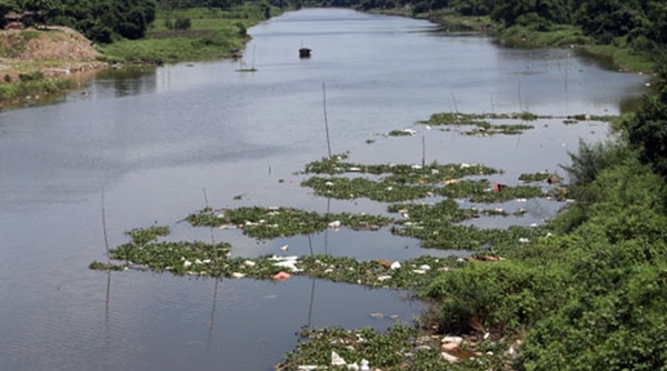 Chi cục Chăn nuôi và thú y lên tiếng về thông tin ‘Nhiều xác lợn chết trôi trên sông ở Hà Nội’