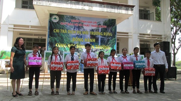 Quỹ Bảo vệ và Phát triển rừng Gia Lai: Đồng hành cùng học sinh đến trường