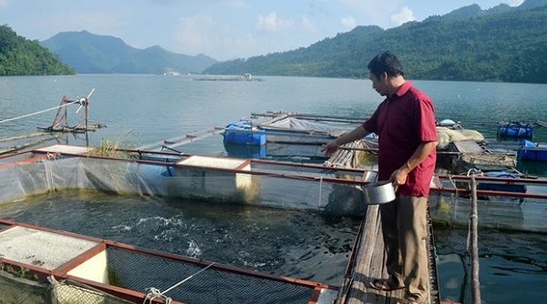 Hà Nội: Siết chặt quản lý nuôi trồng thủy sản lồng, bè trên sông