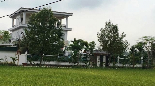 Thanh Hóa: Người thân cán bộ huyện xây dựng biệt thự trên đất nông nghiệp