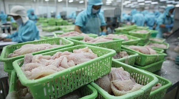 Trung Quốc miễn thuế cho 33 mặt hàng thủy sản của Việt Nam
