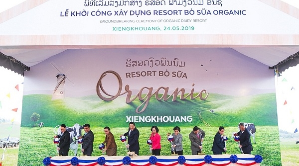 Vinamilk hợp tác với Lào và Nhật xây dựng tổ hợp 'resort' bò sữa organic tại Lào