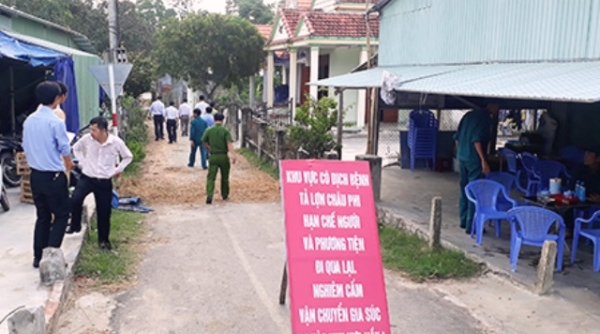Quảng Nam: Hỗ trợ người dân có heo bị tiêu huỷ do dịch tả heo châu Phi