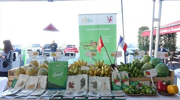 Chuẩn bị tổ chức “Tuần hàng nông sản việt Nam 2019” tại chợ đầu mối nông sản quốc tế Rungis ở Pháp
