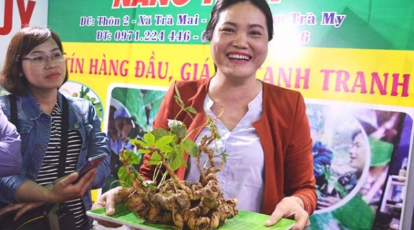 Quảng Nam: Phiên chợ sâm Ngọc Linh đã trở thành thương hiệu đối với khách hàng trong và ngoài tỉnh