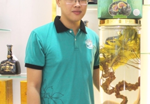 Đà Nẵng: Trưng bày củ sâm Ngọc Linh lớn nhất Việt Nam