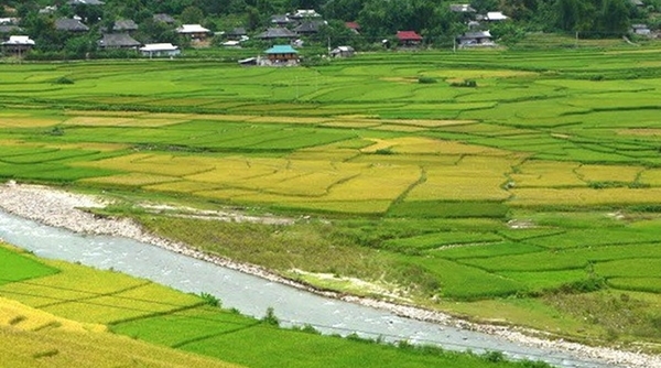 Thủ tướng đồng ý để tỉnh Bắc Giang chuyển đổi 47,16ha đất trồng lúa sang đất phi nông nghiệp