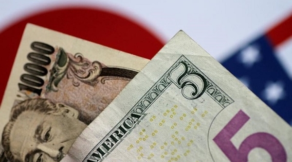 Tỷ giá ngoại tệ ngày 14/6: USD ổn định trước Hội nghị G20