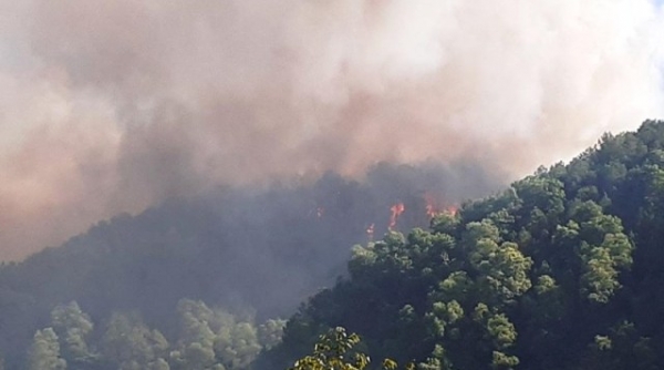Hà Tĩnh: Cháy rừng thông ngùn ngụt, gần 100 hộ dân được lệnh sơ tán khẩn cấp