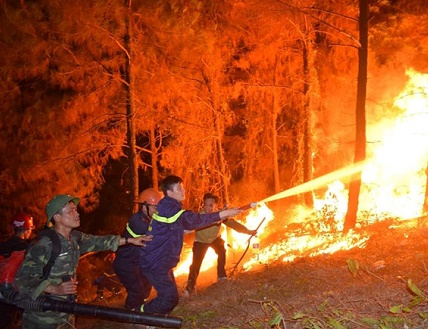 Cháy rừng phủ rộng trên nhiều tỉnh: Việc huy động trực thăng chữa cháy là vô cùng khó khăn