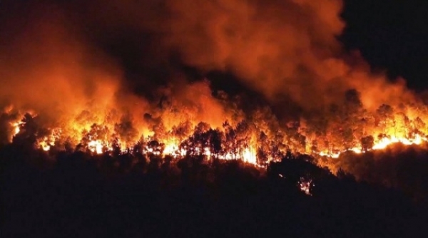 Rừng ở Hương Sơn (Hà Tĩnh) liên tục bị hỏa hoạn: Làm rõ nguyên nhân, xử lý nghiêm sai phạm
