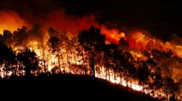 Hà Tĩnh: Khởi tố thêm 3 đối tượng gây ra vụ cháy rừng