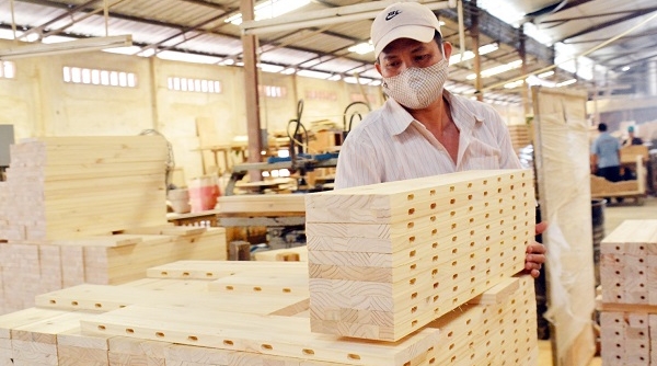 Xuất khẩu gỗ và lâm sản “bứt phá” ấn tượng