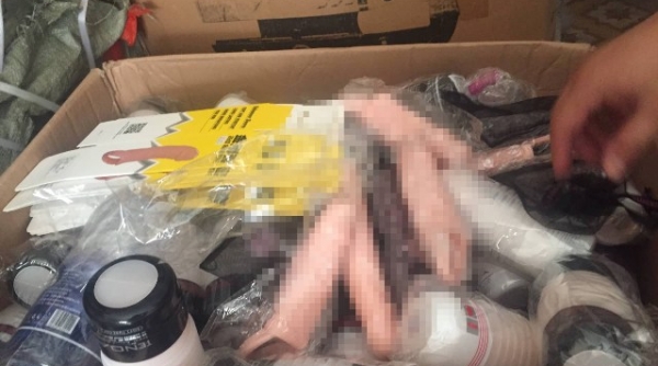 Nghệ An: Thu giữ hơn 1.000 sản phẩm đồ chơi tình dục nhập lậu