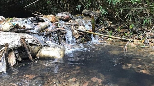 Thủ tướng chỉ đạo điều tra vụ nước sạch sông Đà nhiễm dầu thải