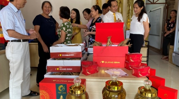 Quảng Bình đưa thương hiệu sâm Bố Chính Tuệ Lâm tham gia Festival OCOP tại Nam Định