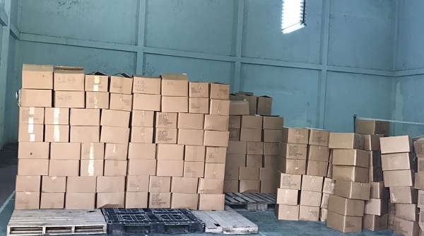 Hải quan cửa khẩu Hà Tiên bắt giữ 26 tấn xoài sơ chế nhập lậu