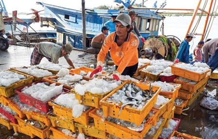 Phó thủ tướng muốn EC sớm gỡ bỏ 'thẻ vàng' cho thủy sản của Việt Nam