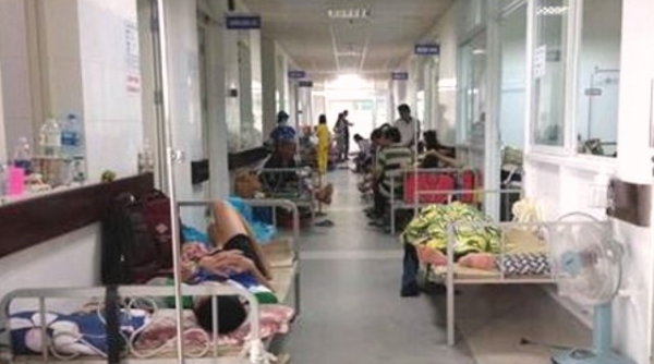 Đà Nẵng: Đã có trên 6.600 ca mắc sốt xuất huyết