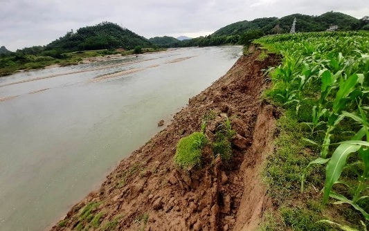 Tuyên Quang: Đất nông nghiệp trôi sông vì doanh nghiệp khai thác cát