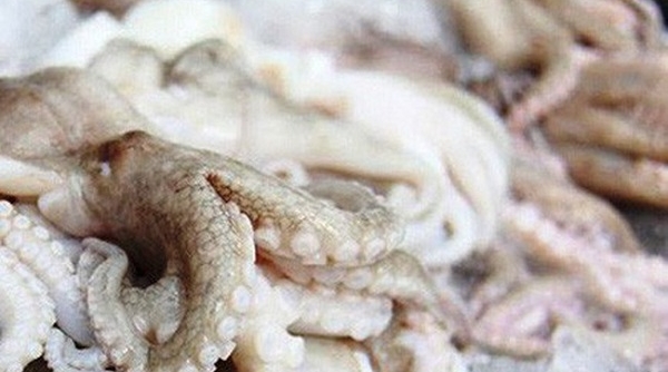 Xuất khẩu mực, bạch tuộc Việt Nam sang Mỹ tăng mạnh