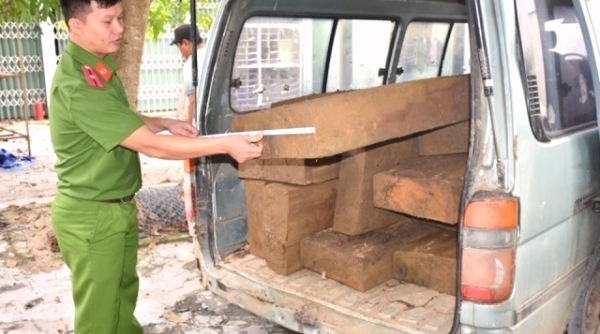 Quảng Nam:Tạm giữ hai xe ô-tô chở 46 phách gỗ lậu