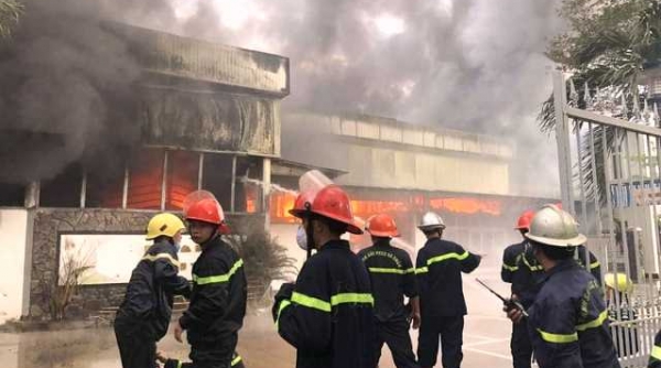 Đà Nẵng: Cháy lớn tại xưởng gỗ Công ty TNHH Vinawindow Fashion