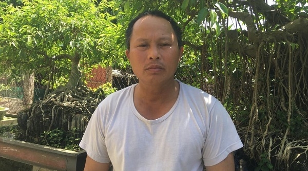 TP Hải Dương: Cần sớm xử lý sai phạm của cán bộ thôn tại Phường Tân Hưng