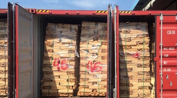 Phát hiện hơn 100 container gỗ xuất khẩu có dấu hiệu gian lận thuế