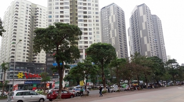 Xử lý dứt điểm sai phạm tại dự án chung cư Đông Nam đường Trần Duy Hưng