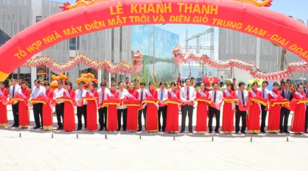 Trungnam Group – Dẫn đầu trong lĩnh vực năng lượng sạch tại Việt Nam