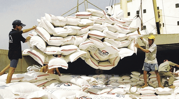 Cơ hội cho xuất khẩu gạo