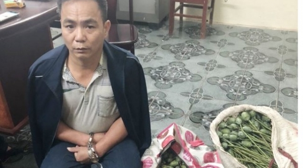 Thanh Hóa: Vận chuyển hơn 50kg quả thuốc phiện, một đối tượng bị bắt