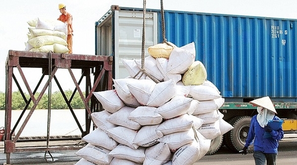 "Tạm dừng xuất khẩu gạo" - Bộ Công Thương nói gì?