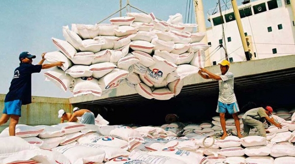 Doanh nghiệp nói gì về chủ trương tạm dừng xuất khẩu gạo?
