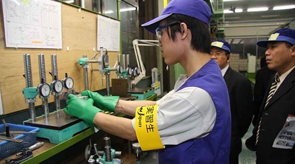 Nhật Bản tạm dừng cấp visa cho lao động Việt Nam