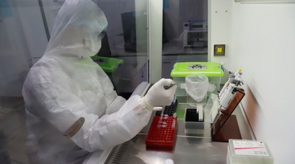 Thanh Hóa tiến hành xét nghiệm sàng lọc SARS-COV-2