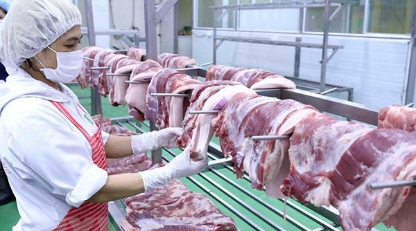 Giảm bớt khâu trung gian để bớt chênh lệch giá thịt lợn