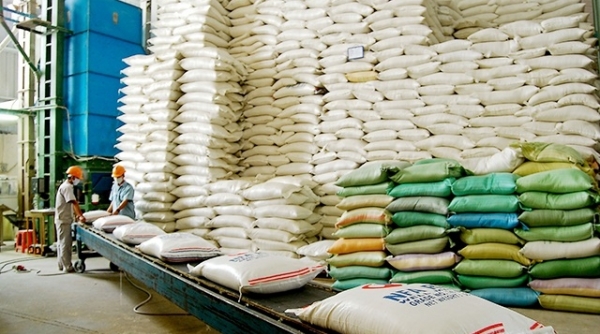 Tổng công ty Lương thực miền Nam: Tăng cường cung cấp lương thực, góp phần ổn định thị trường
