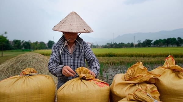 Tháng 4, Việt Nam sẽ xuất khẩu 400.000 tấn gạo