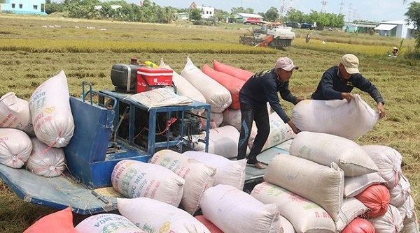 Bộ Công Thương công bố hạn ngạch xuất 400.000 tấn gạo