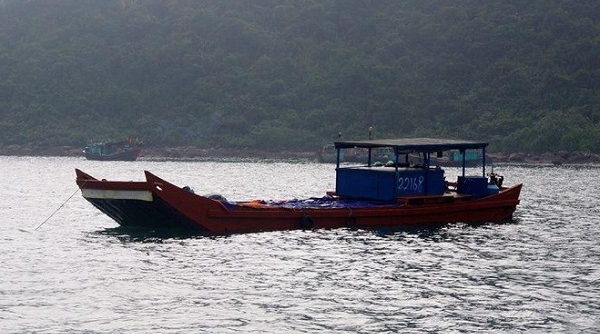 Phát hiện hơn 11 tấn sứa xuất lậu sang Trung Quốc