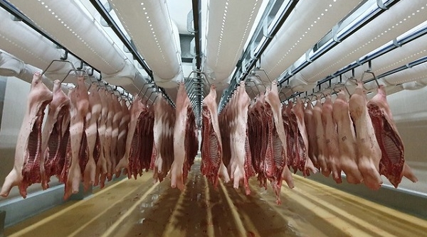 Xử lý nghiêm các trường hợp găm hàng, đẩy giá thịt lợn lên cao