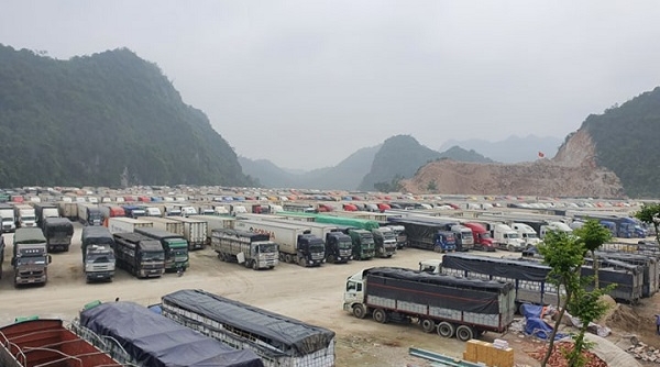 Lạng Sơn đề xuất tạm dừng nhận hàng hóa lên cửa khẩu Tân Thanh