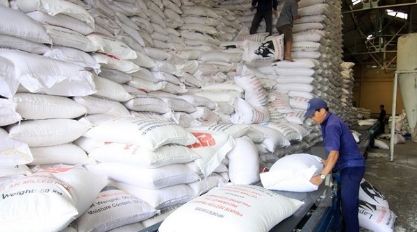 Lập Đoàn kiểm tra liên ngành về tình hình xuất khẩu gạo