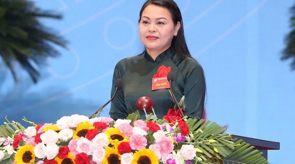 Chủ tịch Hội Liên hiệp Phụ nữ Việt Nam giữ chức Bí thư Ninh Bình