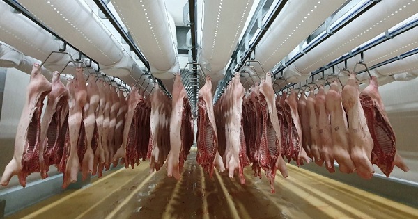 Từ đầu năm đến nay, Việt Nam nhập hơn 46.000 tấn thịt lợn