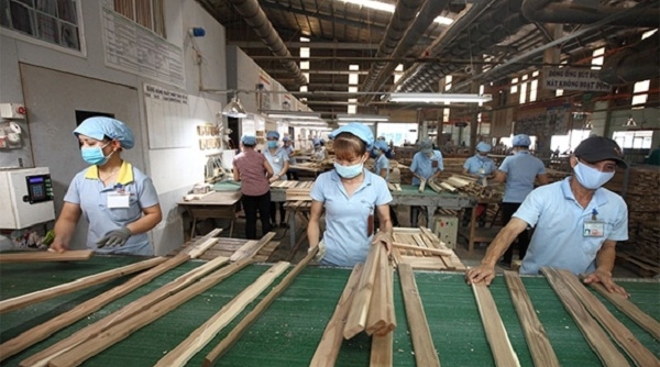 Thị trường “đóng băng”, hơn 90% doanh nghiệp gỗ lao đao
