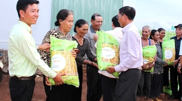 Vĩnh Phúc: Hỗ trợ nông dân 16 tỷ đồng sản xuất vụ Mùa năm 2020